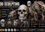 sculpt realistic 3d printable bones, skeletons, skulls, characters